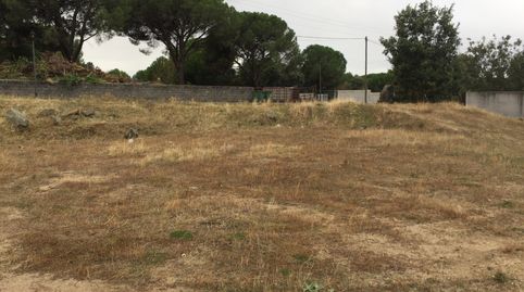 Immagine 4 dell'annuncio