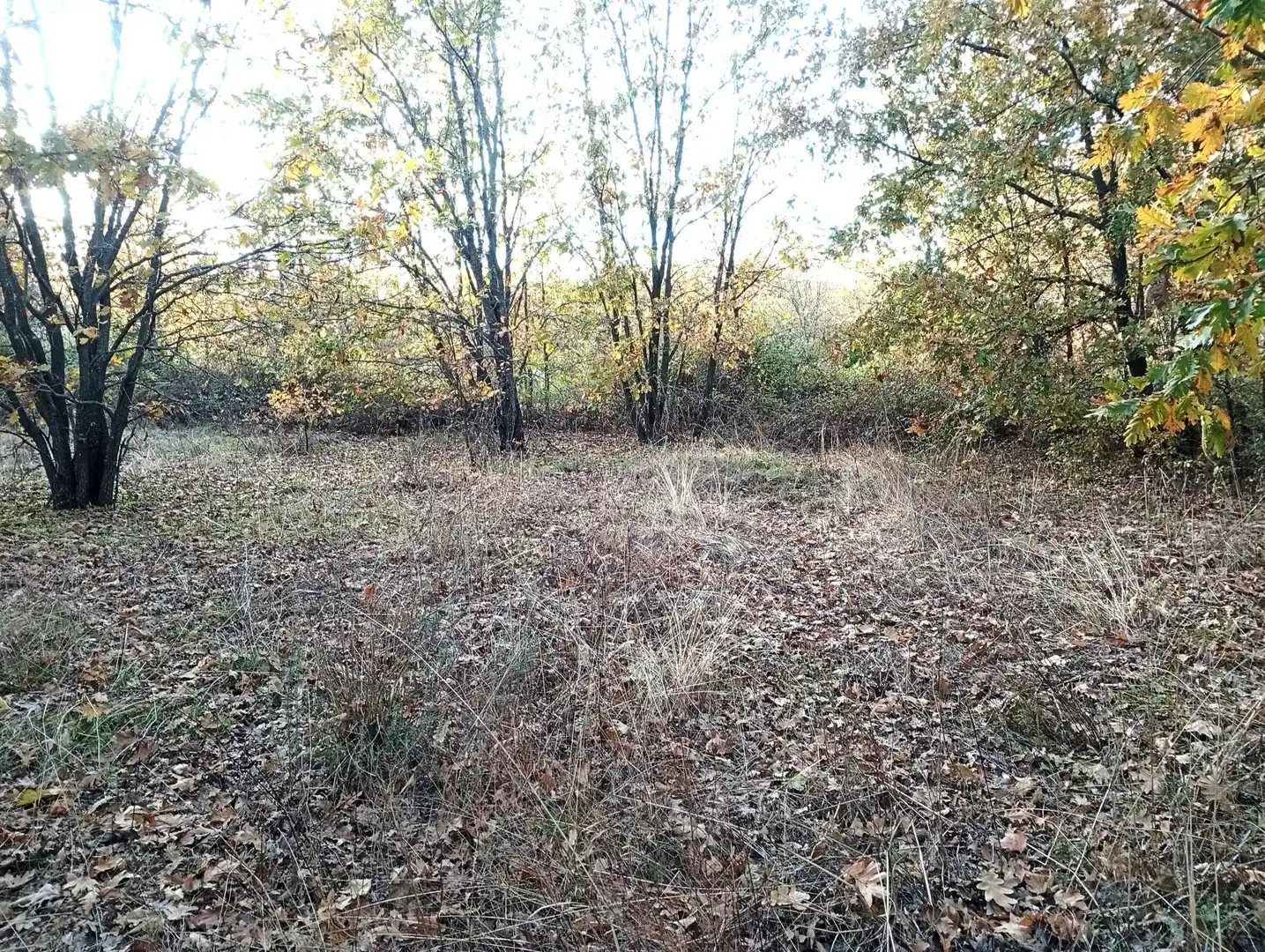 Terreni e lotti in vendita a Viandar de la Vera, imagen 21
