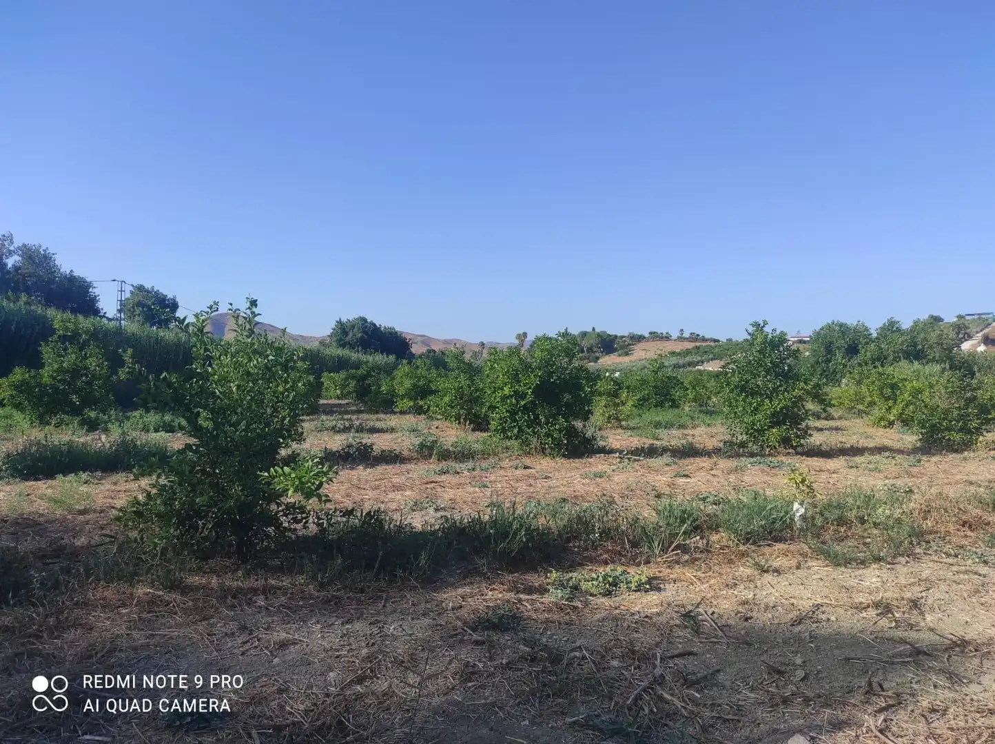 Terreno rustico in vendita a Villafranco del Guadalhorce