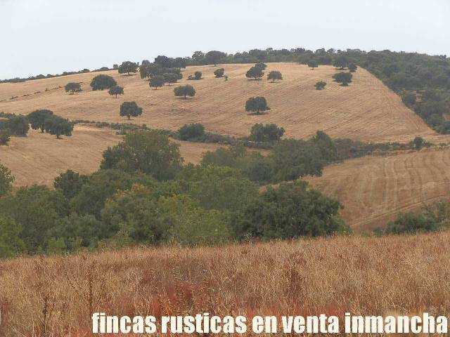 Terreno en Venta en Abenójar