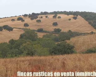 Terreny en venda en Abenójar