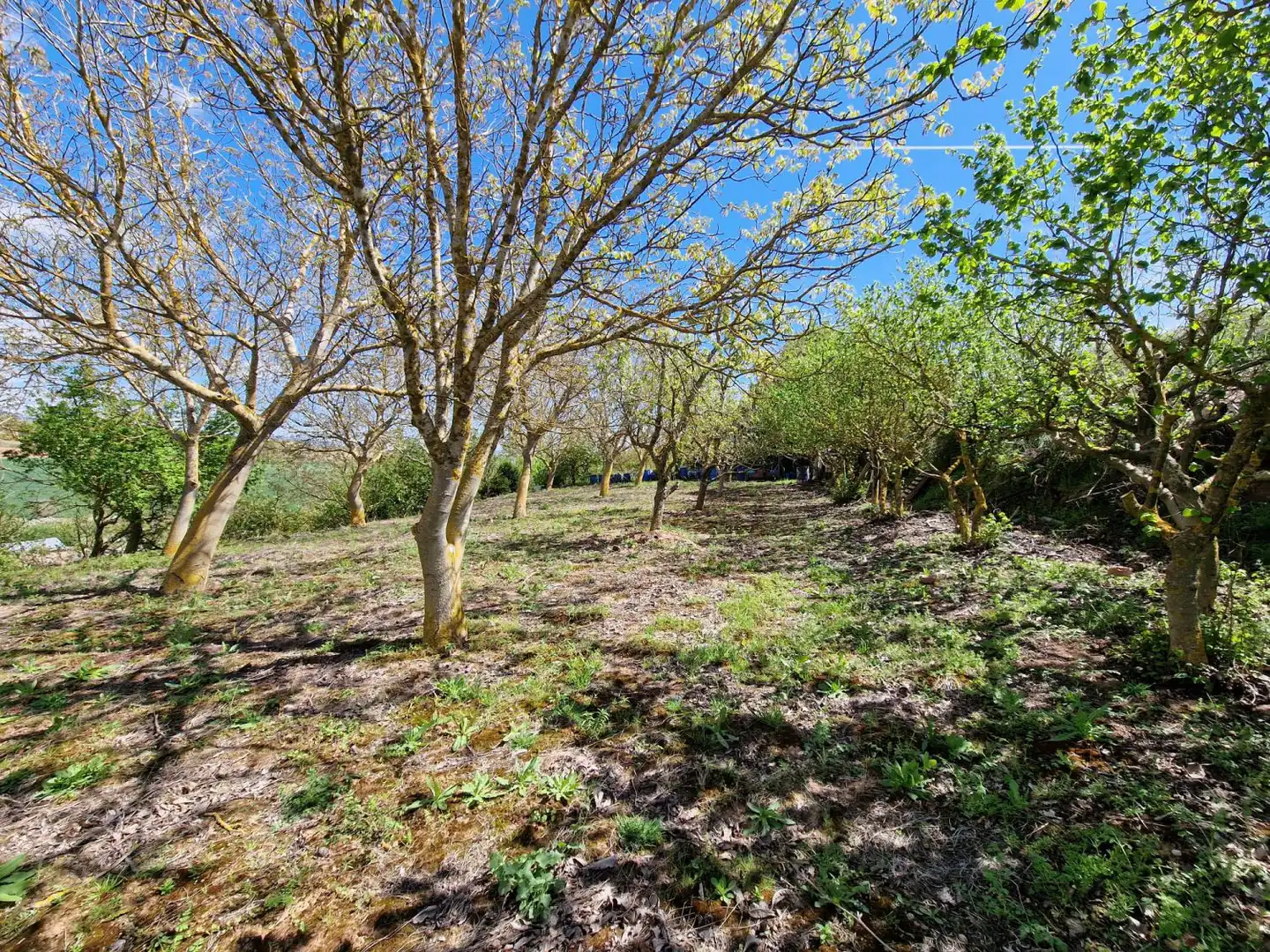 Haus oder Chalet zum Verkauf in Quintanaélez mit Heizung