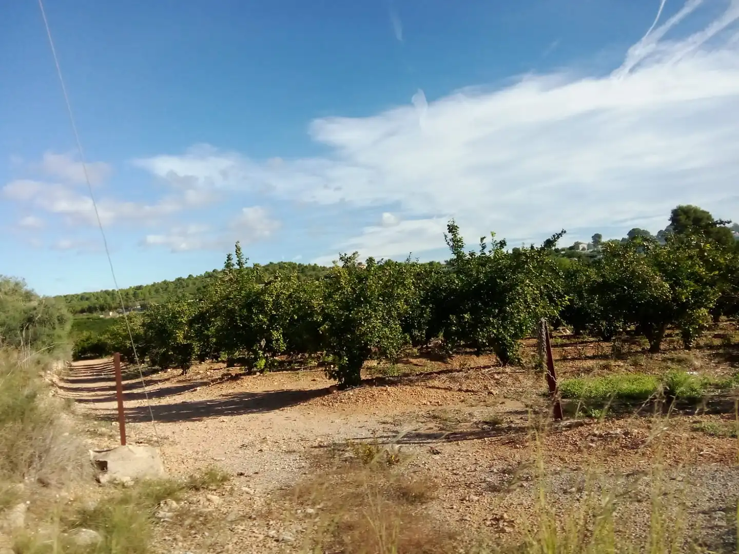 Terreno rústico en venta en Montserrat, imagen 13