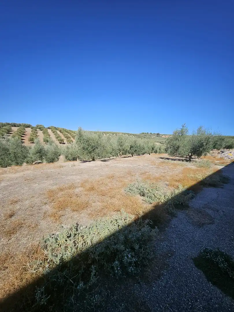 Terrain rustique à vendre à Carretera A-342 MONTURQUE-CABRA, imagen 2