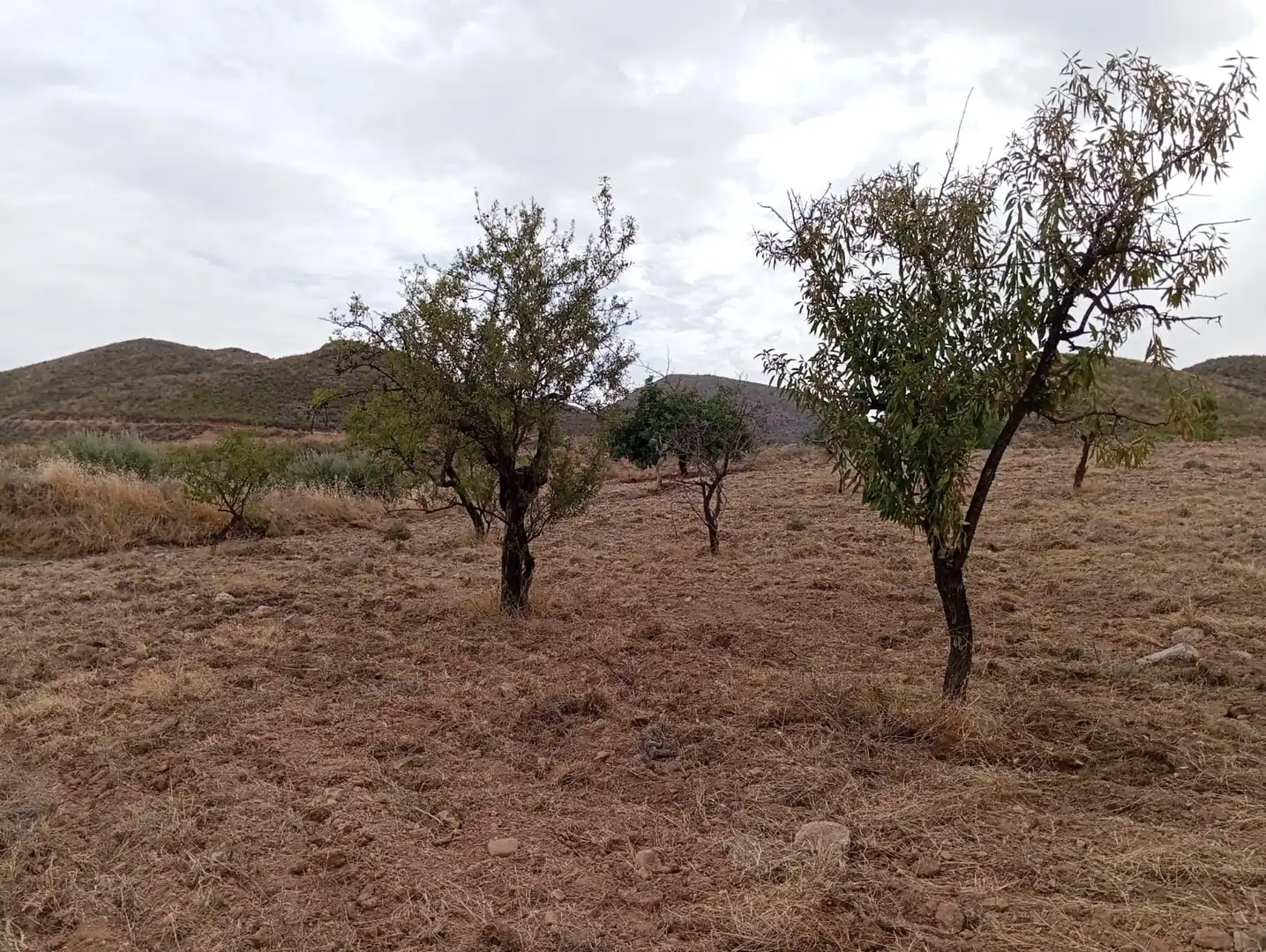 Terreni e lotti in vendita a Bolnuevo, imagen 20