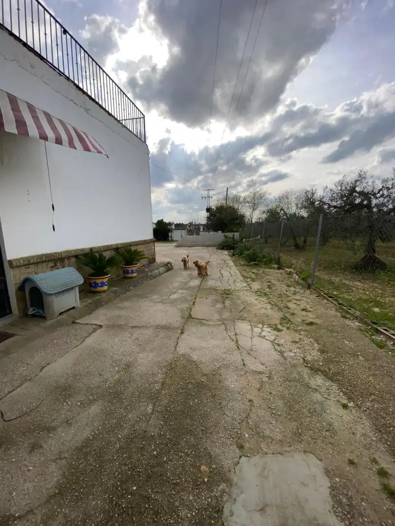 Casa o xalet en venda en Marchena