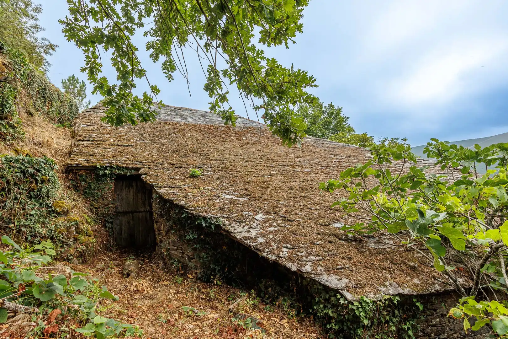 Casa rústica en venda a Ibias, imagen 23