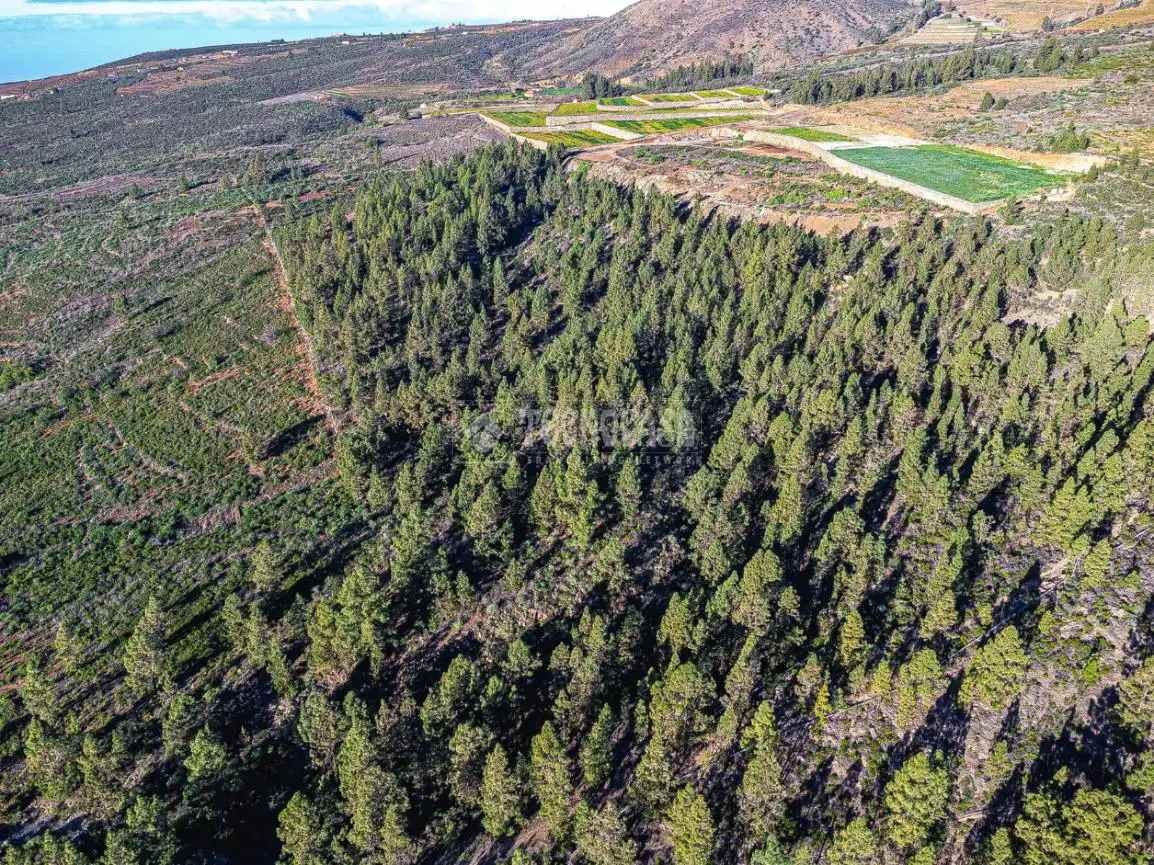 Terreno rústico en venta en Poligono 1, ERA VERDE, VILAFLOR DE CHASNA, imagen 7
