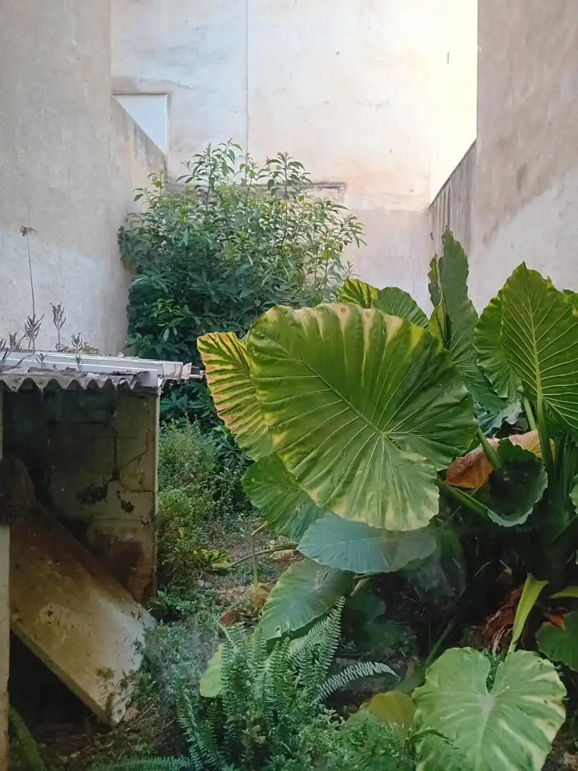 Casa con terraza en venta en Calella, imagen 32