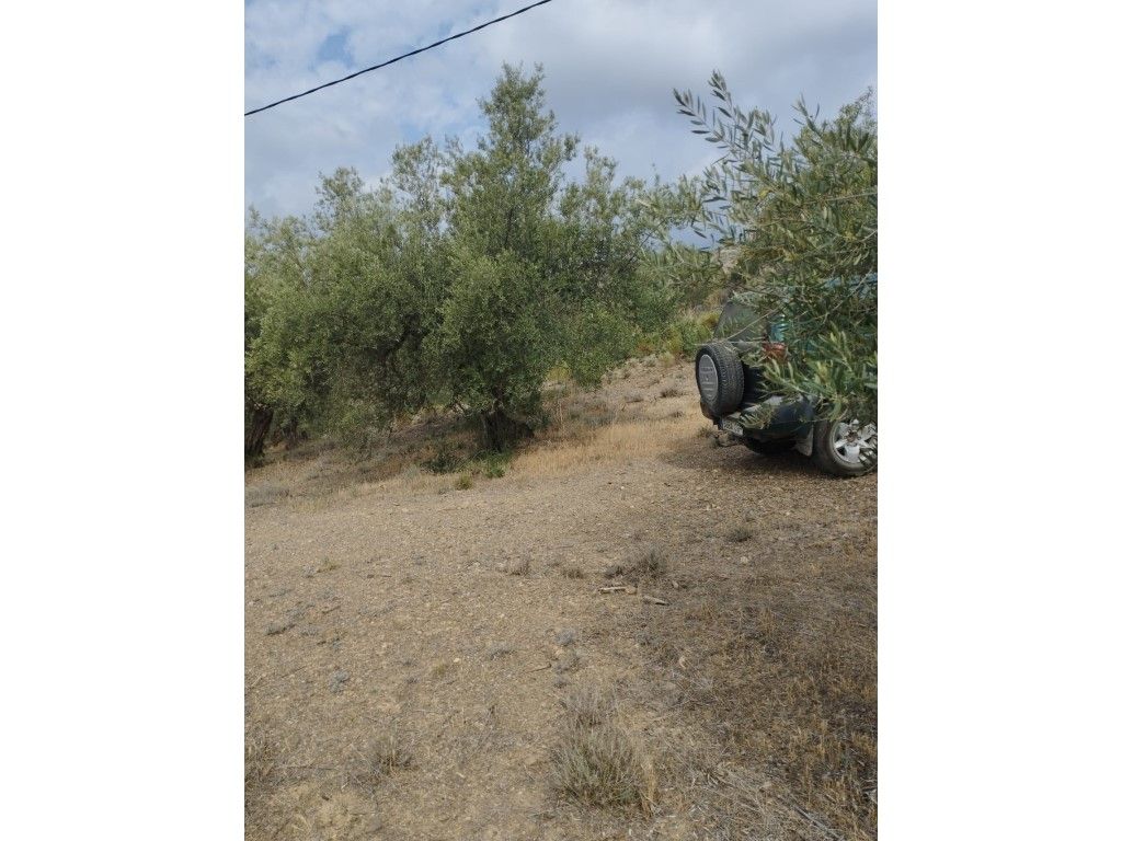 House or chalet for sale in Riogordo