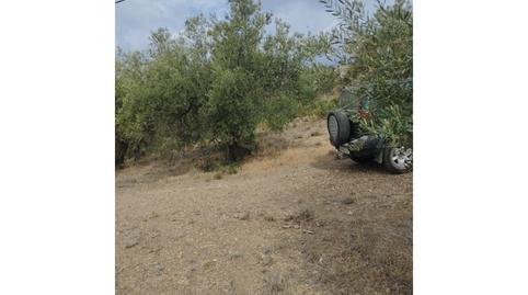 Photo 3 of House or chalet for sale in Riogordo, Málaga