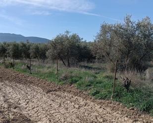 Finca rústica en venda en Otura