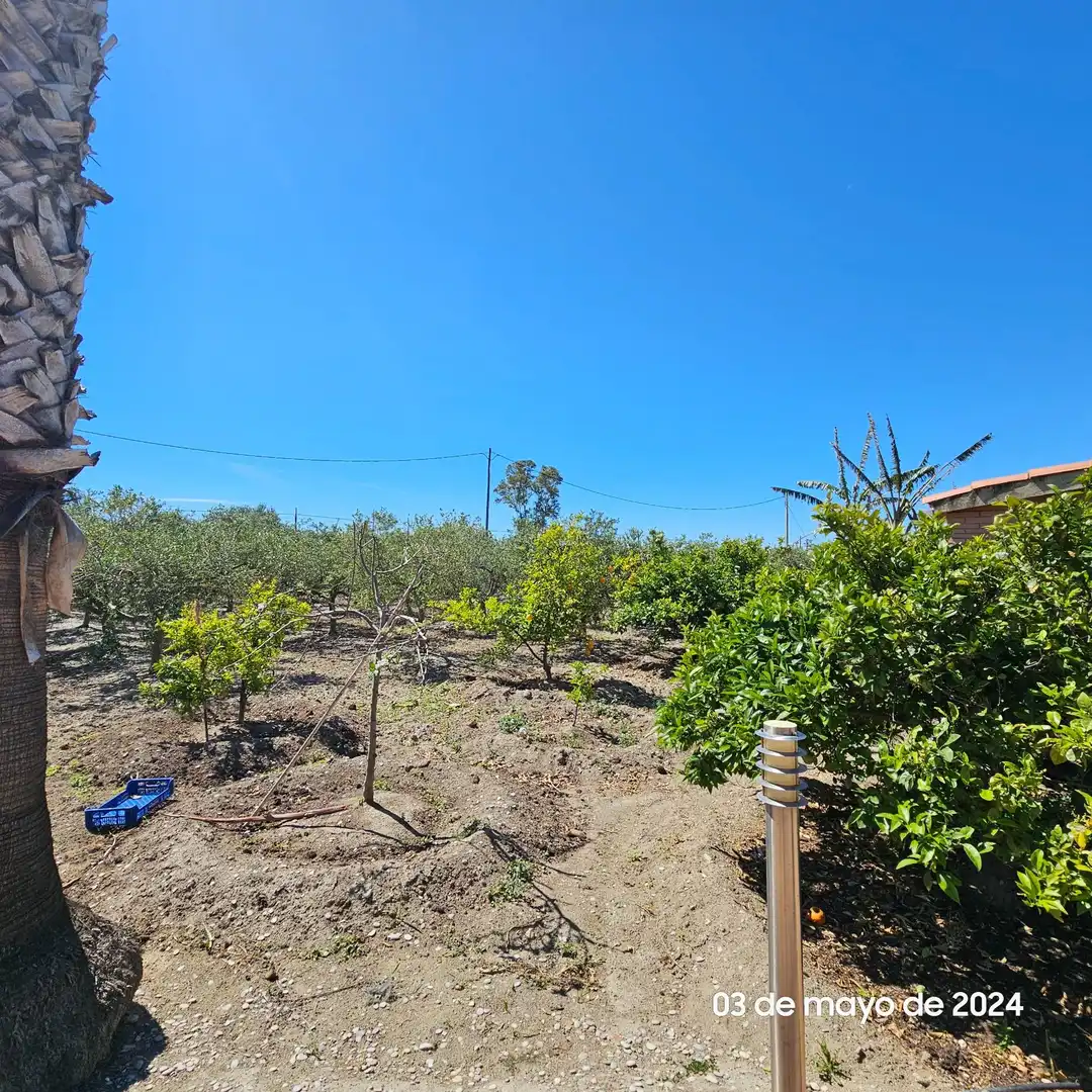 Casa rústica con piscina en venta en Nord, imagen 4