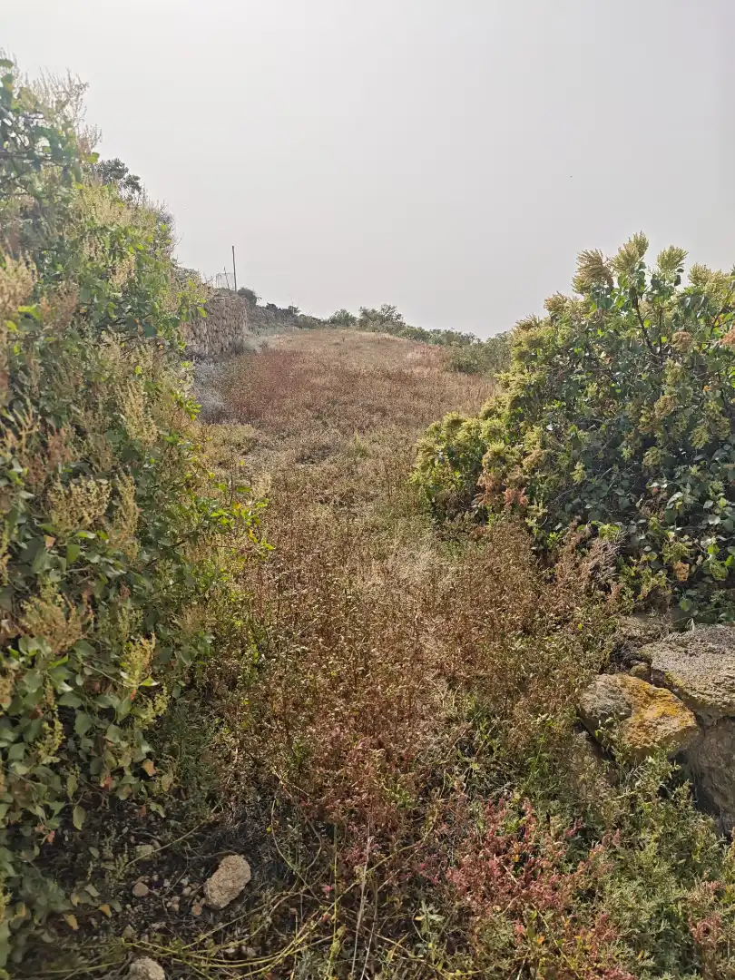 Terreno en venta en Arico