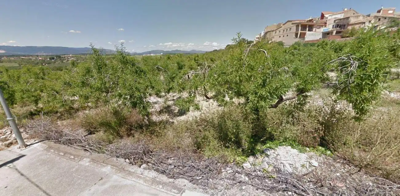 Rural land for sale in c/ del moli, imagen 3