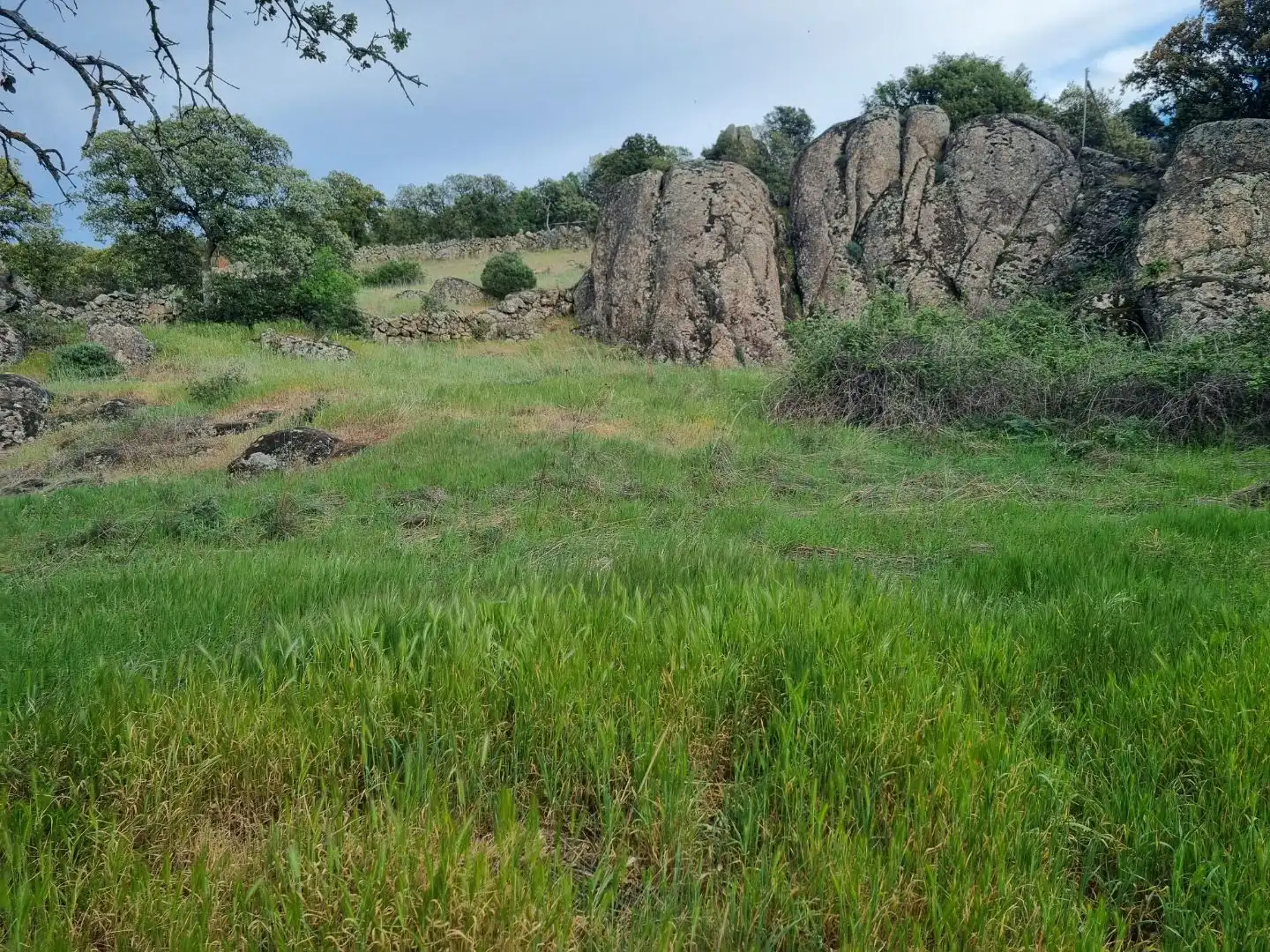 Land for sale in El Vellón