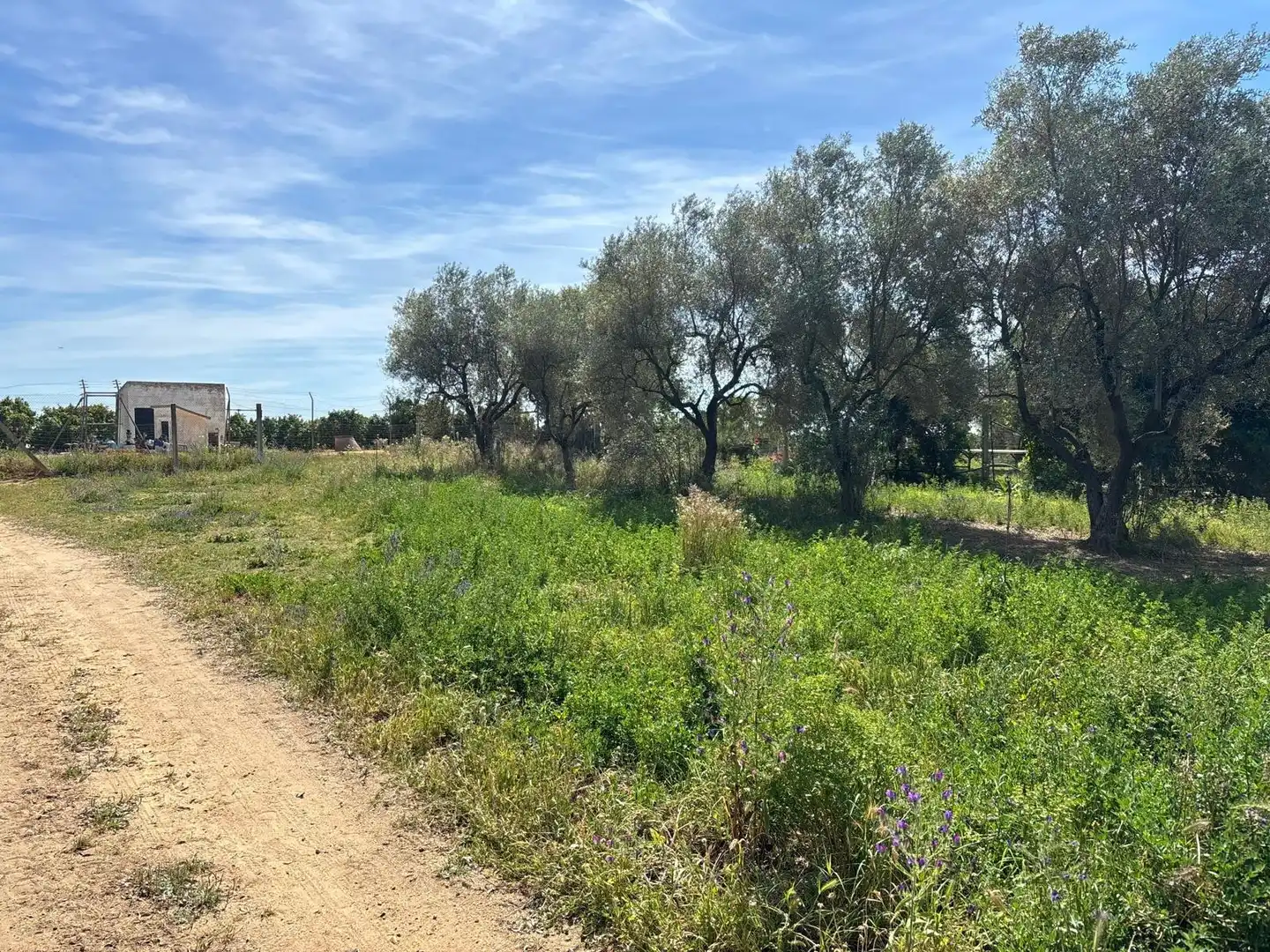 Terreni e lotti in vendita a Polígono Polígono 14 Paraje 87 LOS MONTES, imagen 27