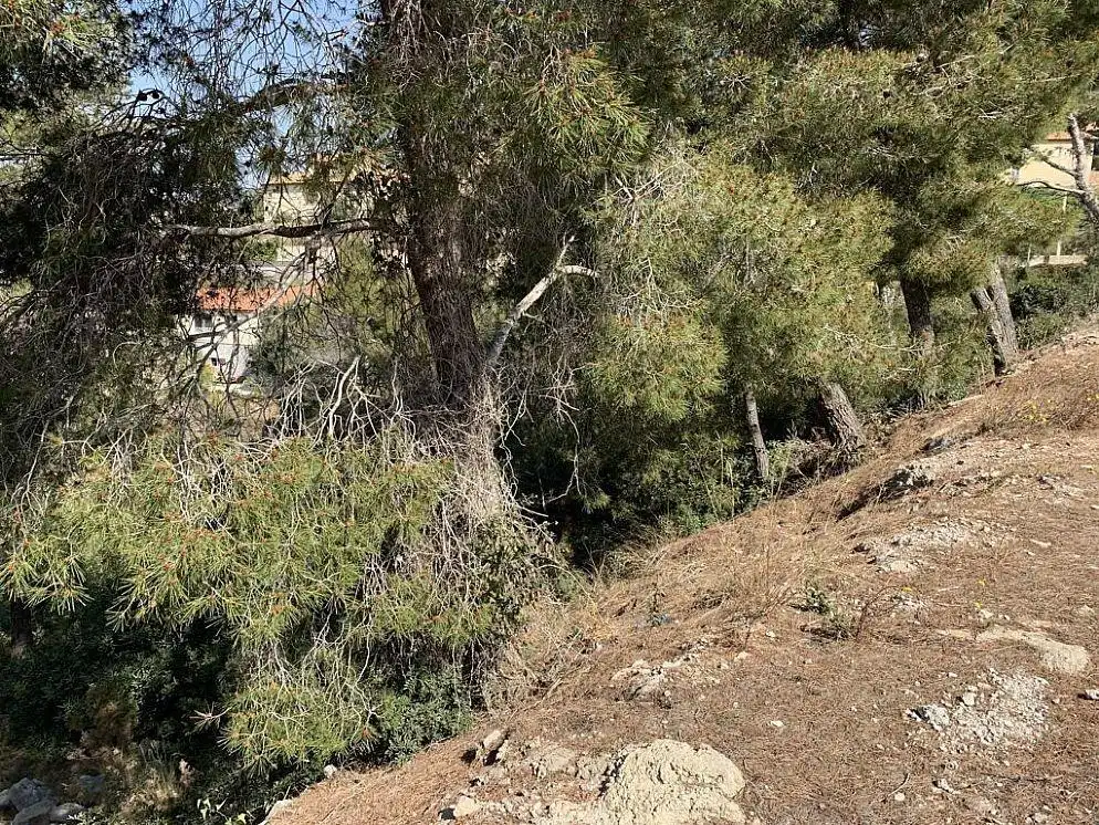 Residential land for sale in Carrer de la Petúnia, imagen 15