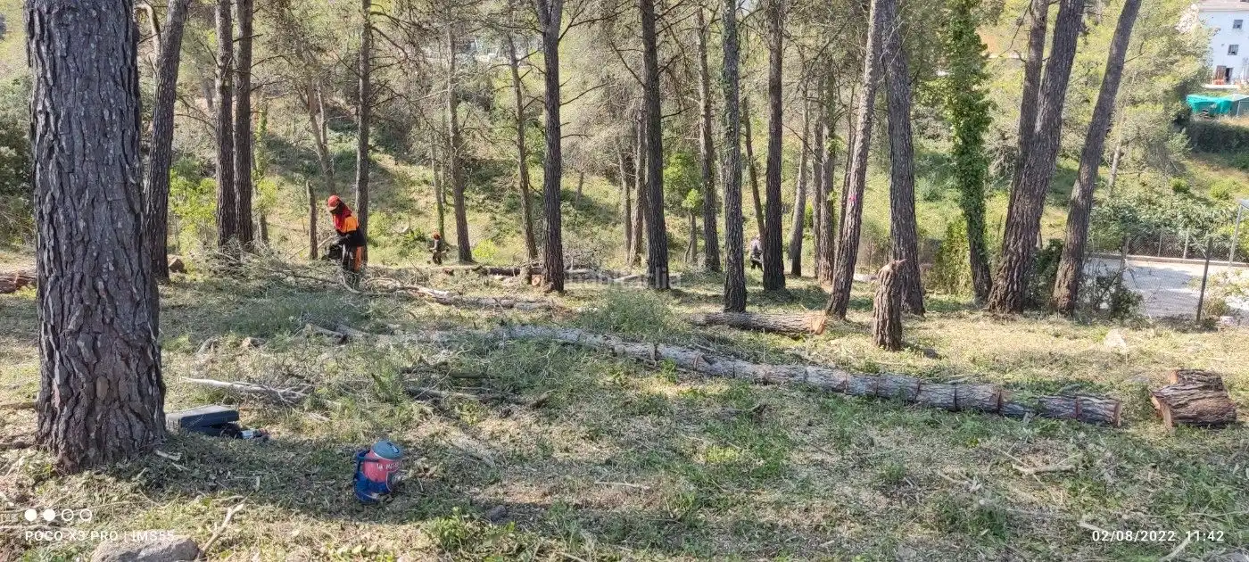 Terreno residencial en venta en Carrer Avenç 12, imagen 9