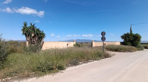 Finca Rustica Cmno. Juan Teresa  Raiguero Bajo Totana, immagine 3