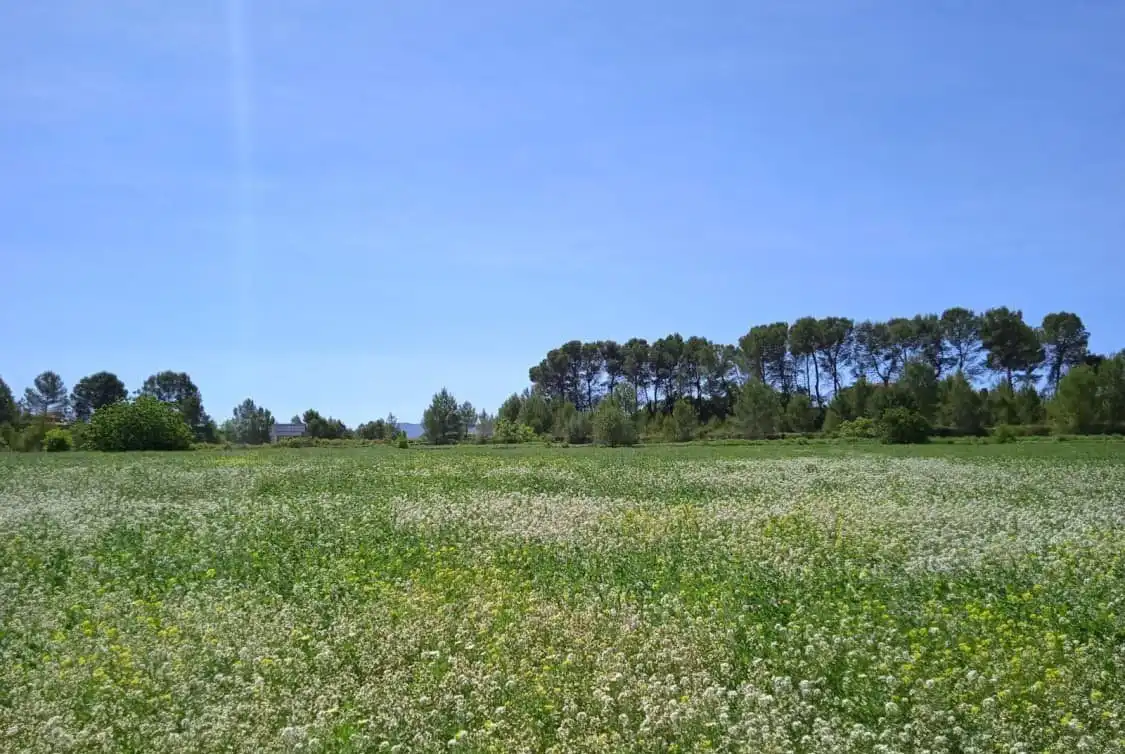 Terreno residenziale in vendita a Agullent, imagen 2