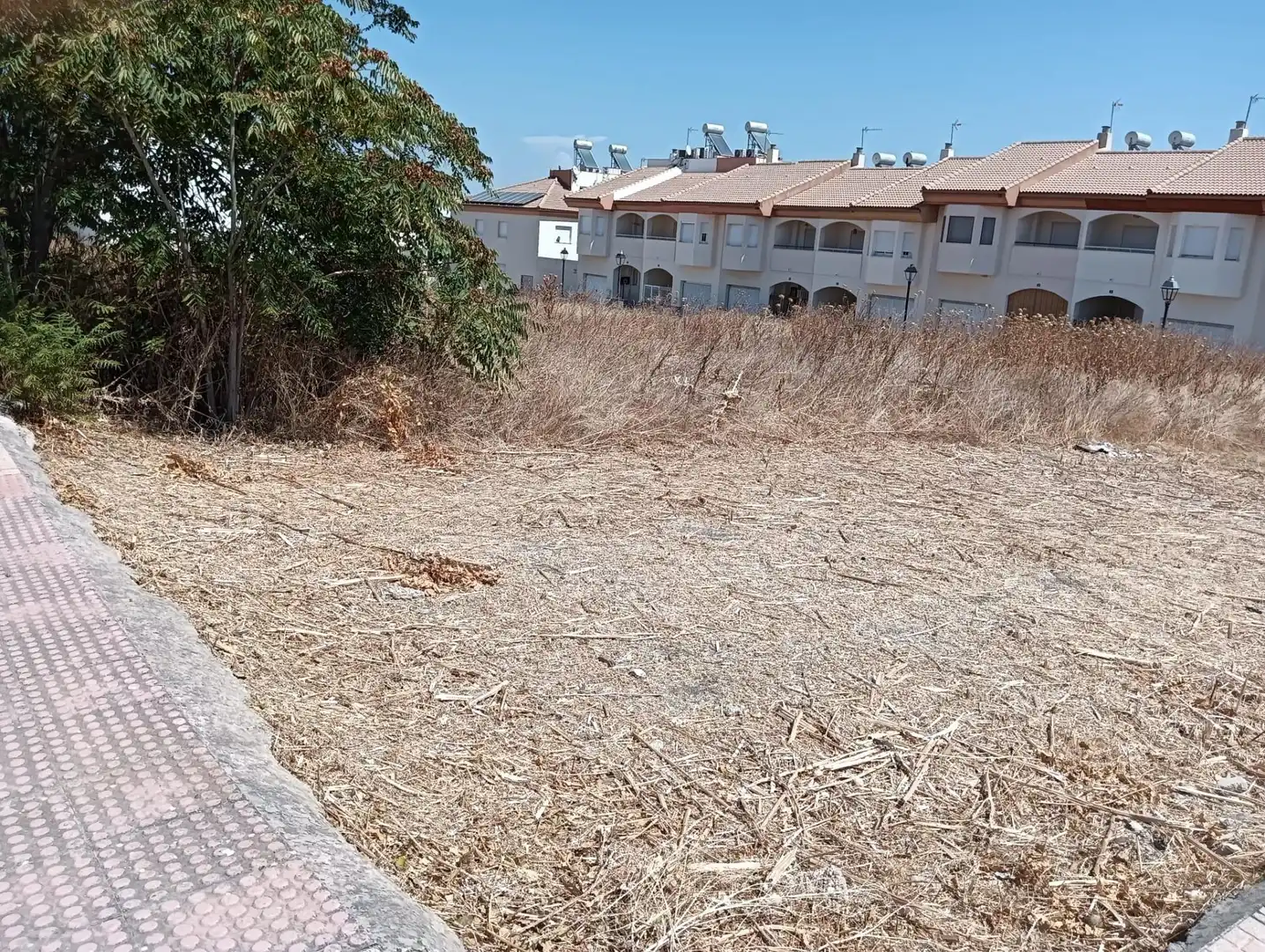 Terreni e lotti in vendita a Puente Tablas - Puente Nuevo - Cerro Molina, imagen 5