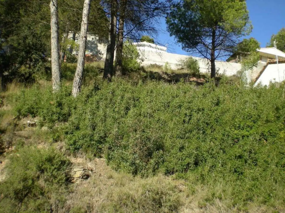 Terrenys i solars en venda a Castellnou de Bages, imagen 3