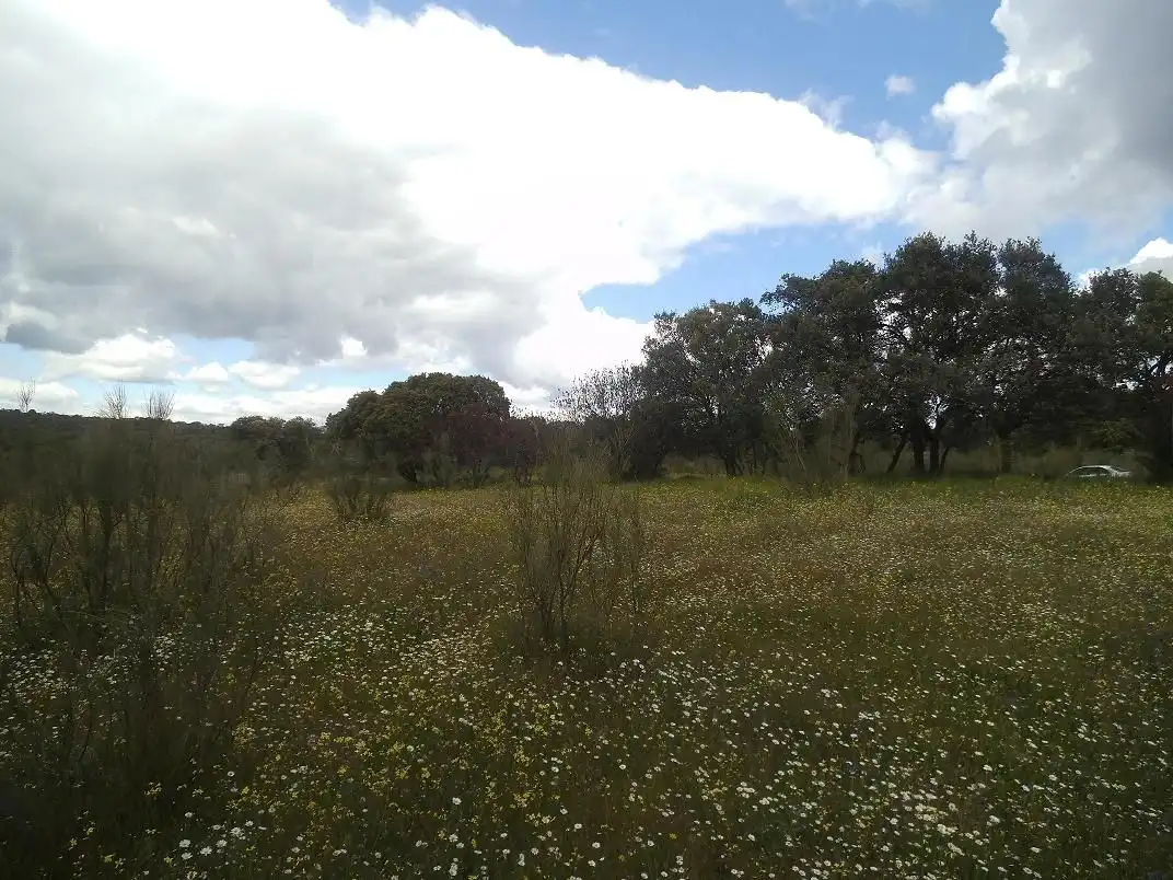 Residencial en venda en Valdemorillo