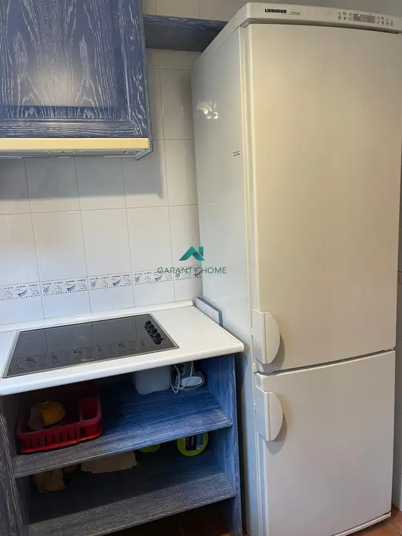 Kitchen of Study for rent in Villaviciosa de Odón