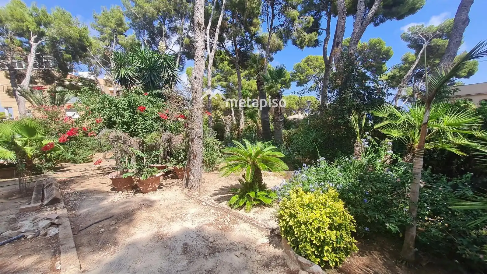 Villa con piscina in vendita a DEL MAR, imagen 8