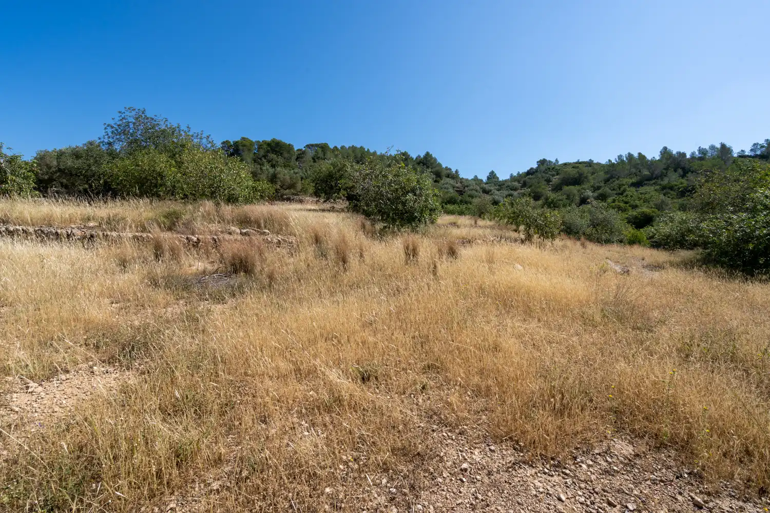 Terrain rustique à vendre à Camí de l'ardiaca 106, imagen 38
