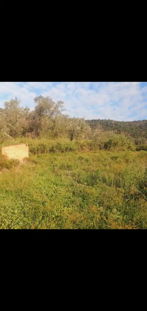 Terreno rústico en venta en Benifallet, imagen 7