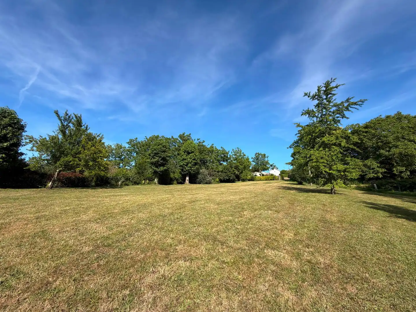 Land for sale in Fene