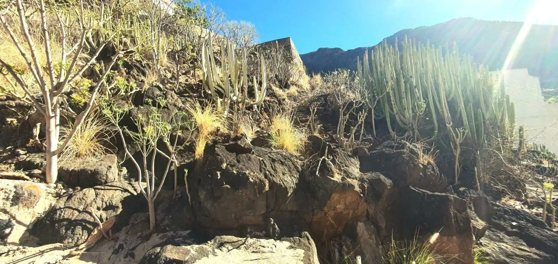 Exterior view of Residential for sale in Santa Cruz de Tenerife