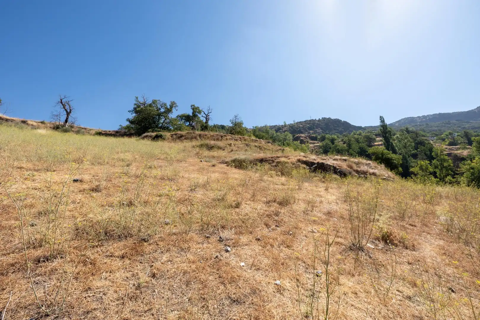 Rural land for sale in Polígono 3 Parcela 19 JARILA. BUBION (GRANADA), imagen 19