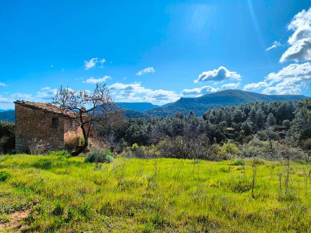 Terreno en Venta en Ráfales