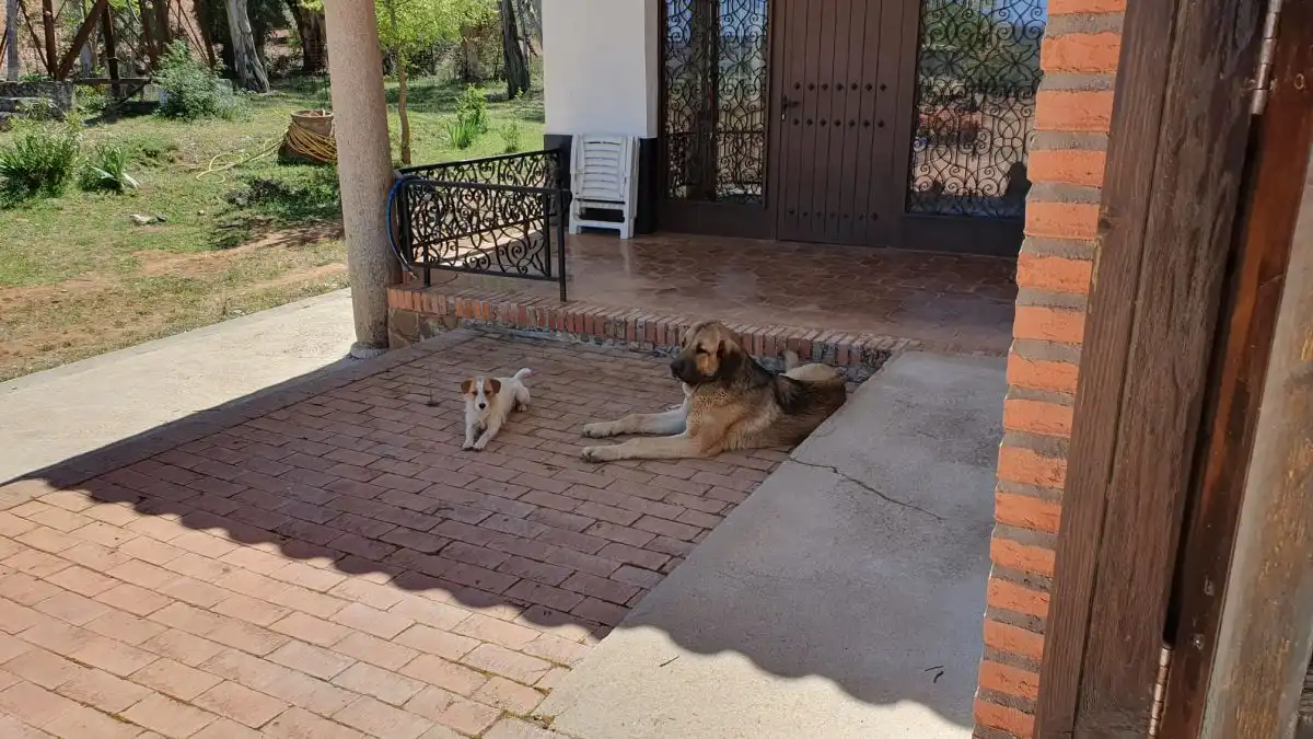 Finca rústica en venda a Área Rural-Valverde-Las Casas