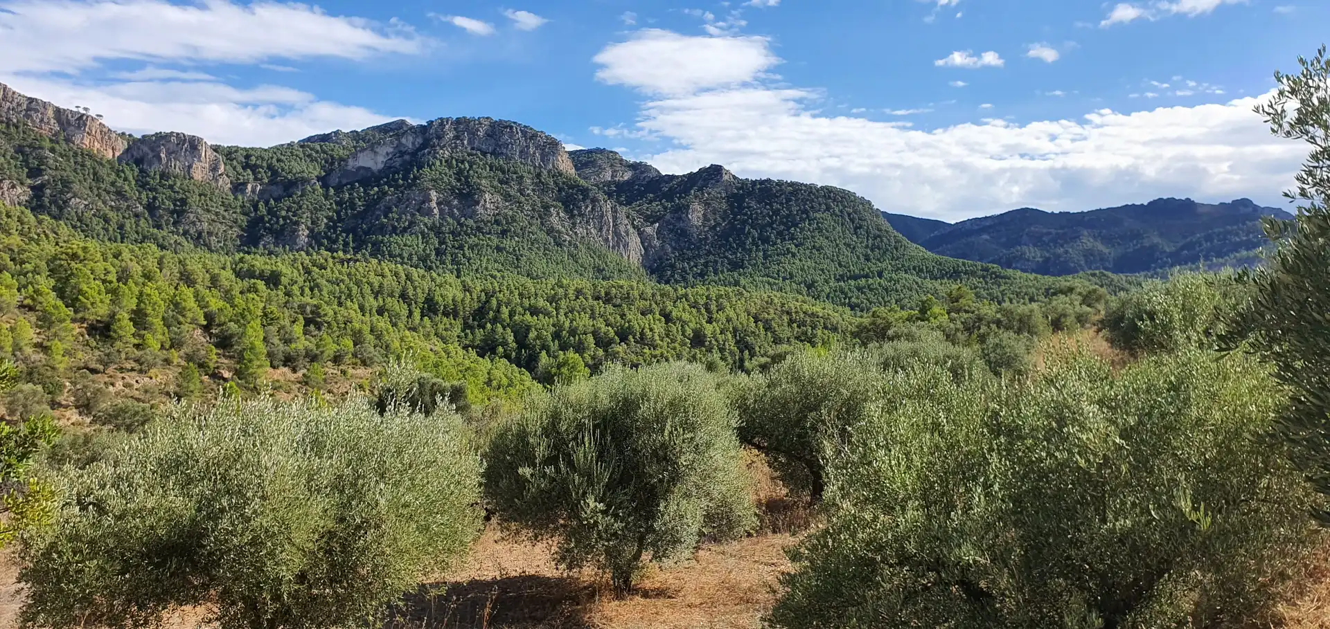 Exterior view of Houses for sale in Benifallet