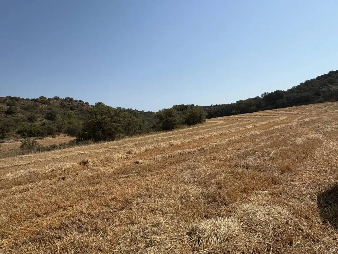 Terreno en venta en San Esteban de Litera