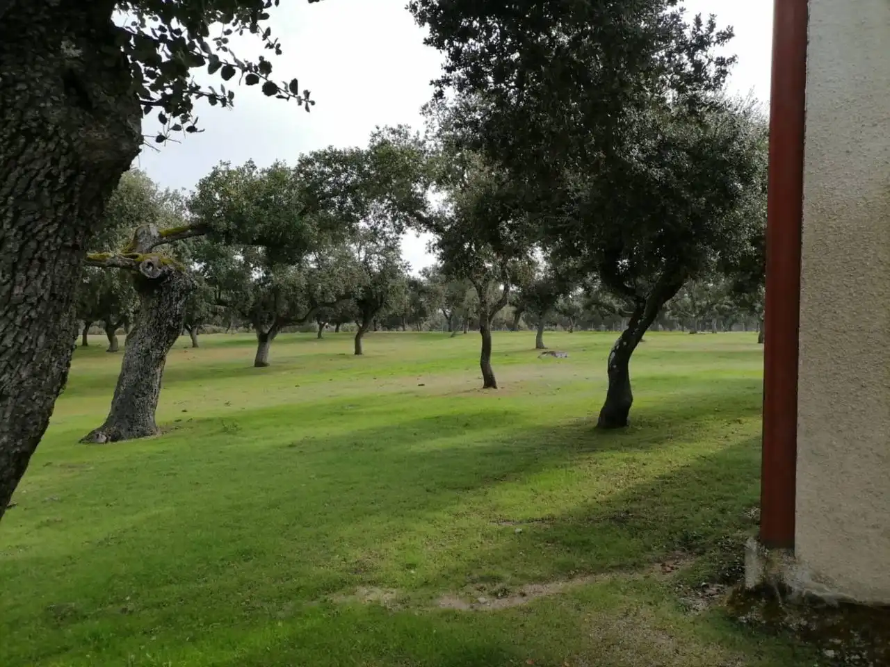 Terreno en venta en Poligono 1, La Alameda de Gardón