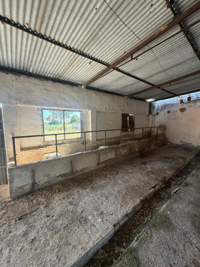 Terreno rustico in vendita a Fernán Caballero, imagen 16