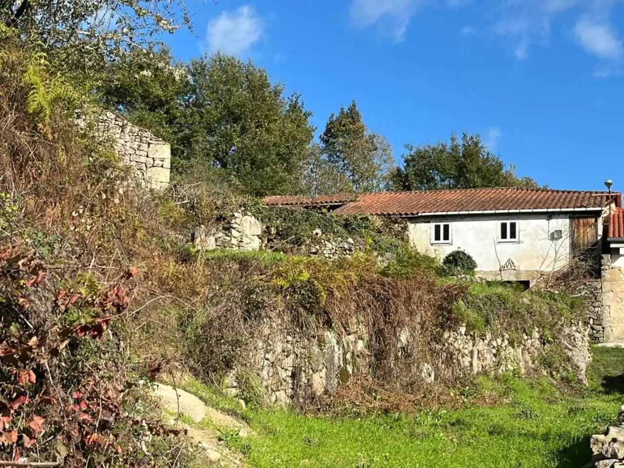 Casa o chalet en venta en San Rosendo