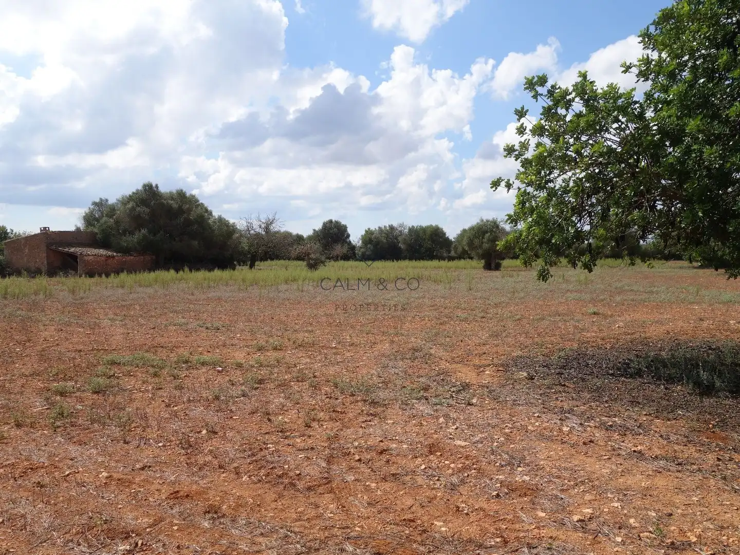 Residential land for sale in Felanitx Poble, imagen 8