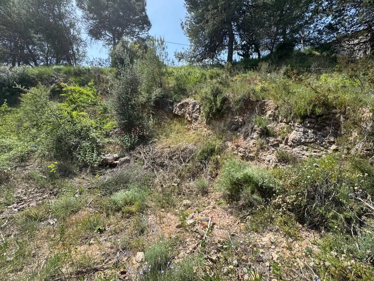 Residential land for sale in La Pobla de Claramunt, imagen 10