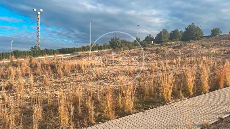 Land for sale in Montroi / Montroy