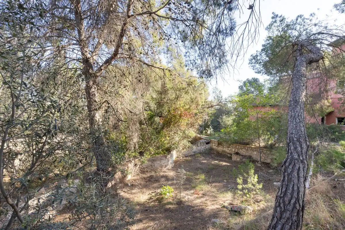 Terreno residenziale in vendita a Cami Ermita Nova, imagen 13