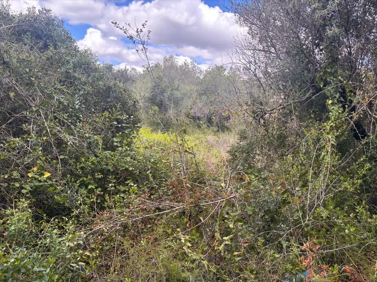 Residential land for sale in Fondo Masia D'En Perris, Urb. Mas Tapet, imagen 4