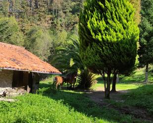 Jardí de Finca rústica en venda en Berriatua