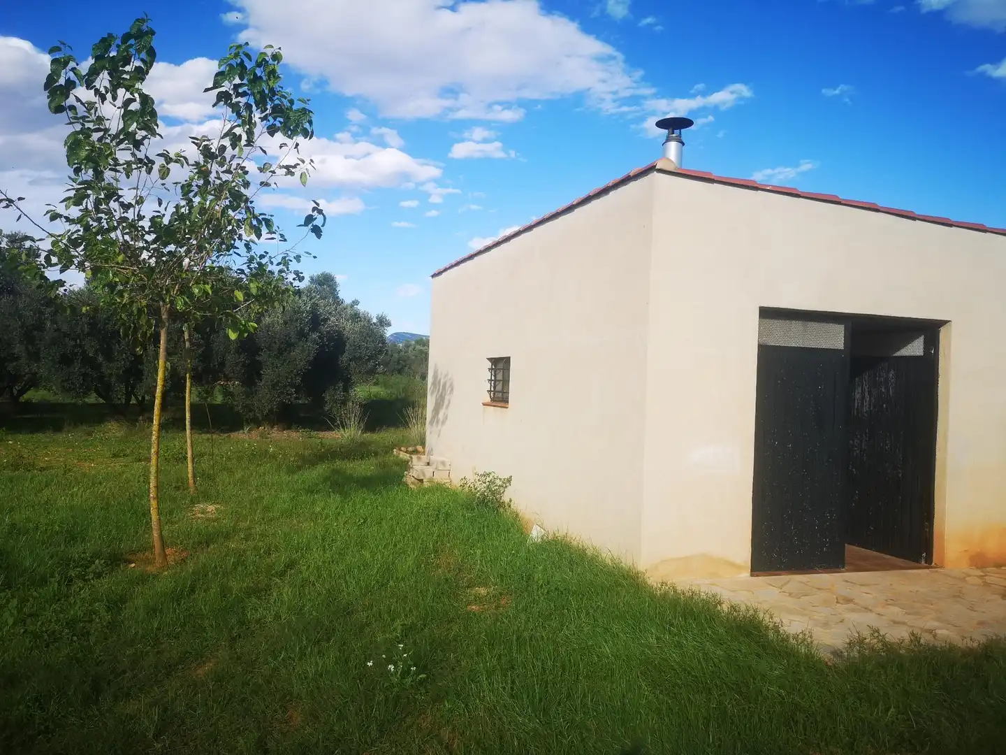 Terreno rustico in vendita a Ulldecona, imagen 21