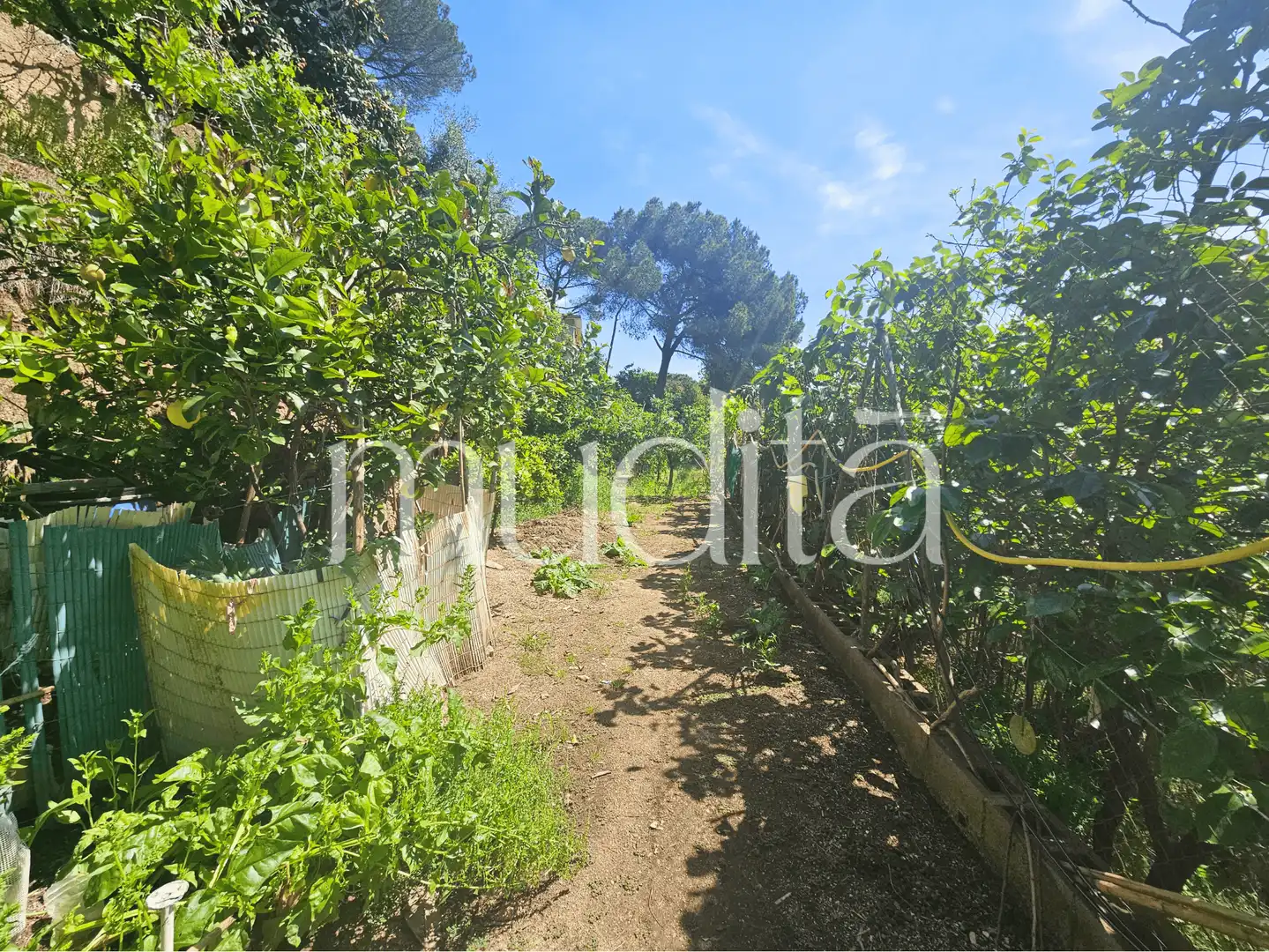 Terreno residencial en venta en Joan Maragall i Gorina, imagen 6